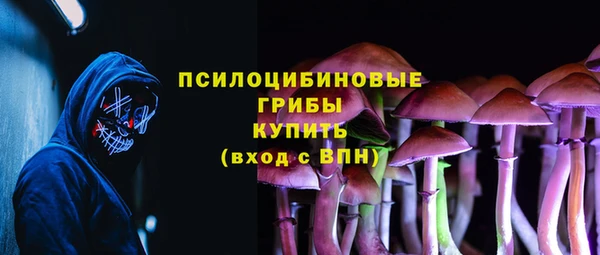 PSILOCYBIN Армянск