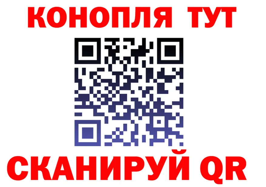 Альфа ПВП СК вход площадка кракен Кемь